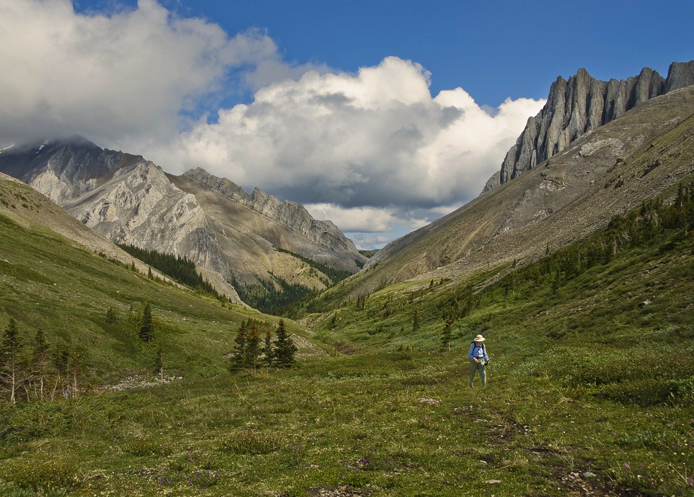 Willmore Wilderness Park, Rocky Mountains, Alberta, Canada